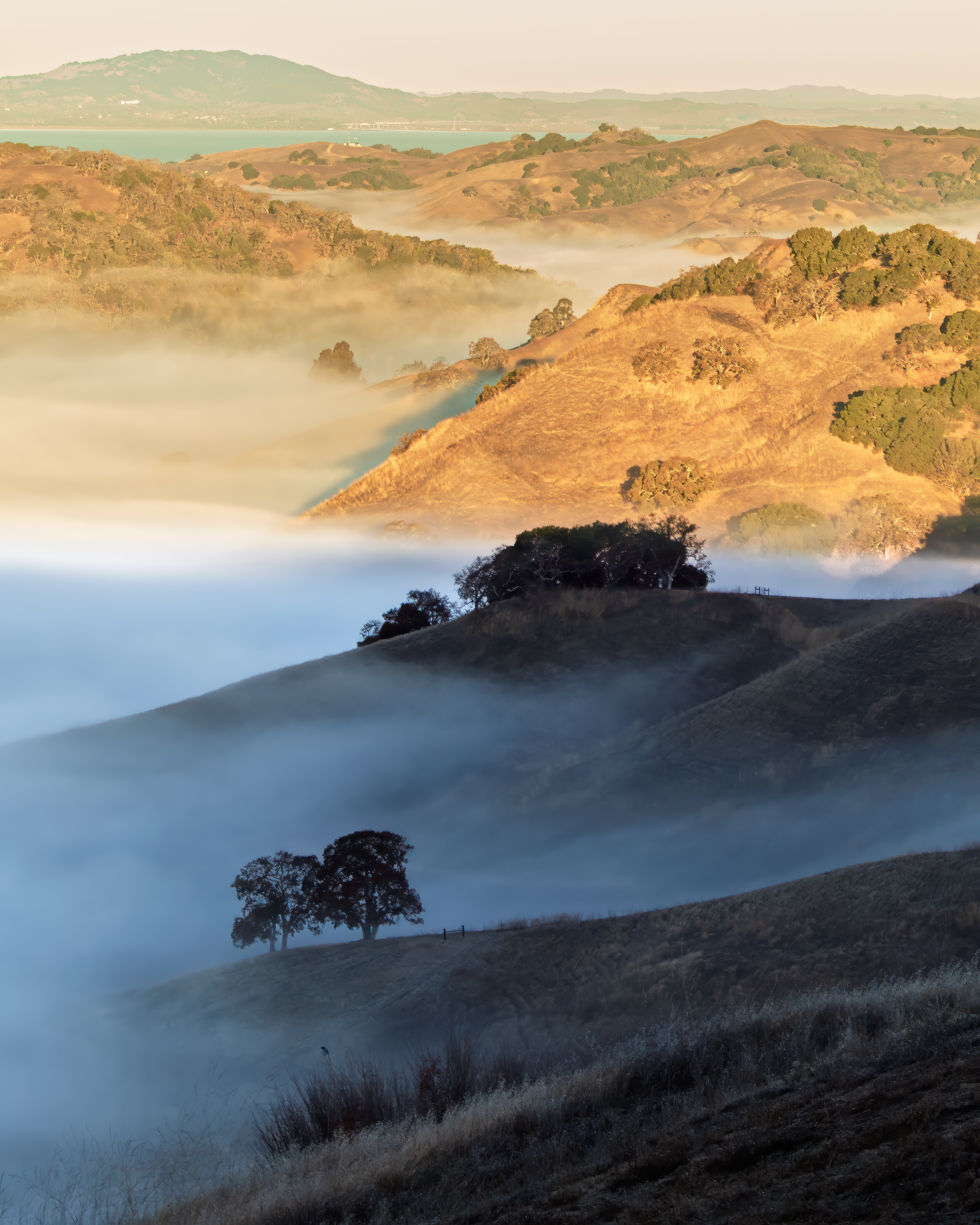 River Overview Print